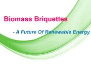 Biomass Briquette -The Future Of Renewable Energy