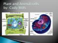 Plant and Animal cells by: Cody Mills PowerPoint PPT Presentation