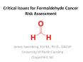 Critical Issues for Formaldehyde Cancer Risk Assessment PowerPoint PPT Presentation