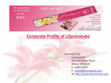 Corporate Profile of Lilies-in-a-tube