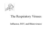 The Respiratory Viruses