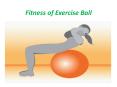 Exercise Ball For Fitness PowerPoint PPT Presentation