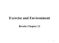 Exercise and Environment PowerPoint PPT Presentation