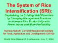 The System of Rice Intensification (SRI): Capitalizing on Existing Yield Potentials by Changing Management Practices    to Increase Rice Productivity with Fewer Inputs and More Profitability PowerPoint PPT Presentation
