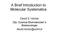 A Brief Introduction to Molecular Systematics PowerPoint PPT Presentation