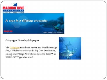 Belize Diving Packages