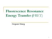 Fluorescence Resonance Energy Transfer (FRET)