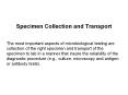 Specimen Collection and Transport PowerPoint PPT Presentation
