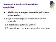 Sistematizaci