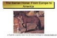 The Iberian Horse: From Europe to America PowerPoint PPT Presentation