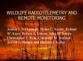 WILDLIFE RADIOTELEMETRY AND REMOTE MONITORING PowerPoint PPT Presentation