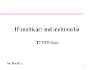 IP multicast and multimedia