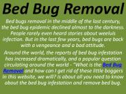 Bed Bug Removal