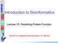 Introduction to Bioinformatics PowerPoint PPT Presentation
