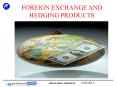 FOREIGN EXCHANGE AND PowerPoint PPT Presentation