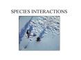 COMMUNITY ECOLOGY PowerPoint PPT Presentation