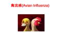 ???(Avian Influenza) PowerPoint PPT Presentation