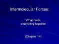 Intermolecular Forces: PowerPoint PPT Presentation