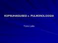 KOPSUHAIGUSED e. PULMONOLOOGIA PowerPoint PPT Presentation