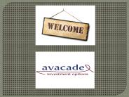 Make Money through Alternative Investments offered by Avacade