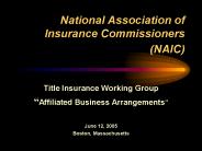 National Association of Insurance Commissioners (NAIC)