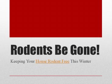 Rodents Be Gone! Keeping Your House Rodent Free This Winter