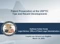 Patent Prosecution at the USPTO: Tips and Recent Developments PowerPoint PPT Presentation