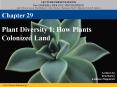 Plant Diversity I: How Plants Colonized Land PowerPoint PPT Presentation