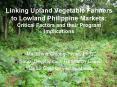Linking Upland Vegetable Farmers to Lowland Philippine Markets: Critical Factors and their Program Implications PowerPoint PPT Presentation