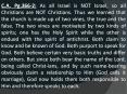 C.A. Pg.366-2: As all Israel is NOT Israel, so all Christians are NOT Christians. Thus we learned that the church is made up of two vines, the true and the false. The two vines are motivated by two kinds of spirits; one has the Holy Spirit while the PowerPoint PPT Presentation