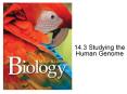 14.3 Studying the Human Genome PowerPoint PPT Presentation