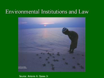 Environmental Institutions and Law