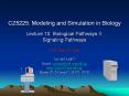 CZ5225: Modeling and Simulation in Biology  Lecture 10: Biological Pathways II: Signaling Pathways Prof. Chen Yu Zong Tel: 6874-6877 Email: yzchen@cz3.nus.edu.sg http://xin.cz3.nus.edu.sg Room 07-24, level 7, SOC1, NUS PowerPoint PPT Presentation