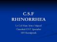 C.S.F     RHINORRHEA PowerPoint PPT Presentation