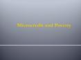 Microcredit and Poverty PowerPoint PPT Presentation