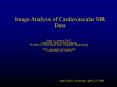 Image Analysis of Cardiovascular MR Data PowerPoint PPT Presentation