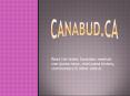 Medical Marijuana Canada PowerPoint PPT Presentation