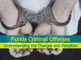 Florida Criminal Offenses PowerPoint PPT Presentation
