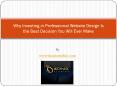 Why Investing in Professional Website Design Is the Best Decision You Will Ever Make PowerPoint PPT Presentation