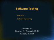 Software Testing