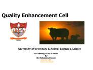 Quality Enhancement Cell