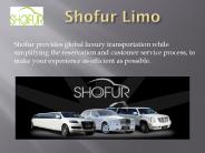 Shofur Limo-