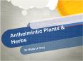 Anthelmintic plants and herbs PowerPoint PPT Presentation