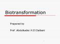 Biotransformation PowerPoint PPT Presentation