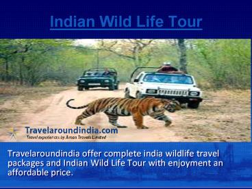 presentation player overlay