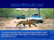 Indian Wild Life Tour