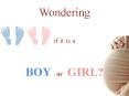 Wondering if it is a Baby Boy or Girl? PowerPoint PPT Presentation