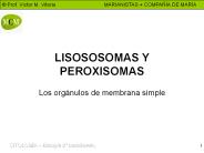 LISOSOSOMAS Y PEROXISOMAS