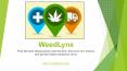 Use Medical Marijuana Dispensary and Doctor Locator iPhone App