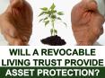 Will a Revocable Living Trust Provide Asset Protection? PowerPoint PPT Presentation